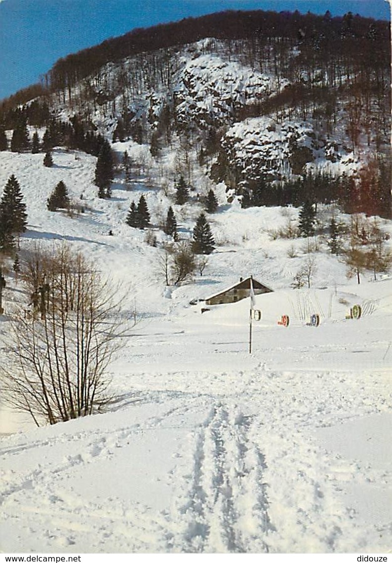 88 - Bussang - Départ Des Pistes Du Larcenaire - Hiver - Neige - Carte Neuve - Voir Scans Recto-Verso - Bussang