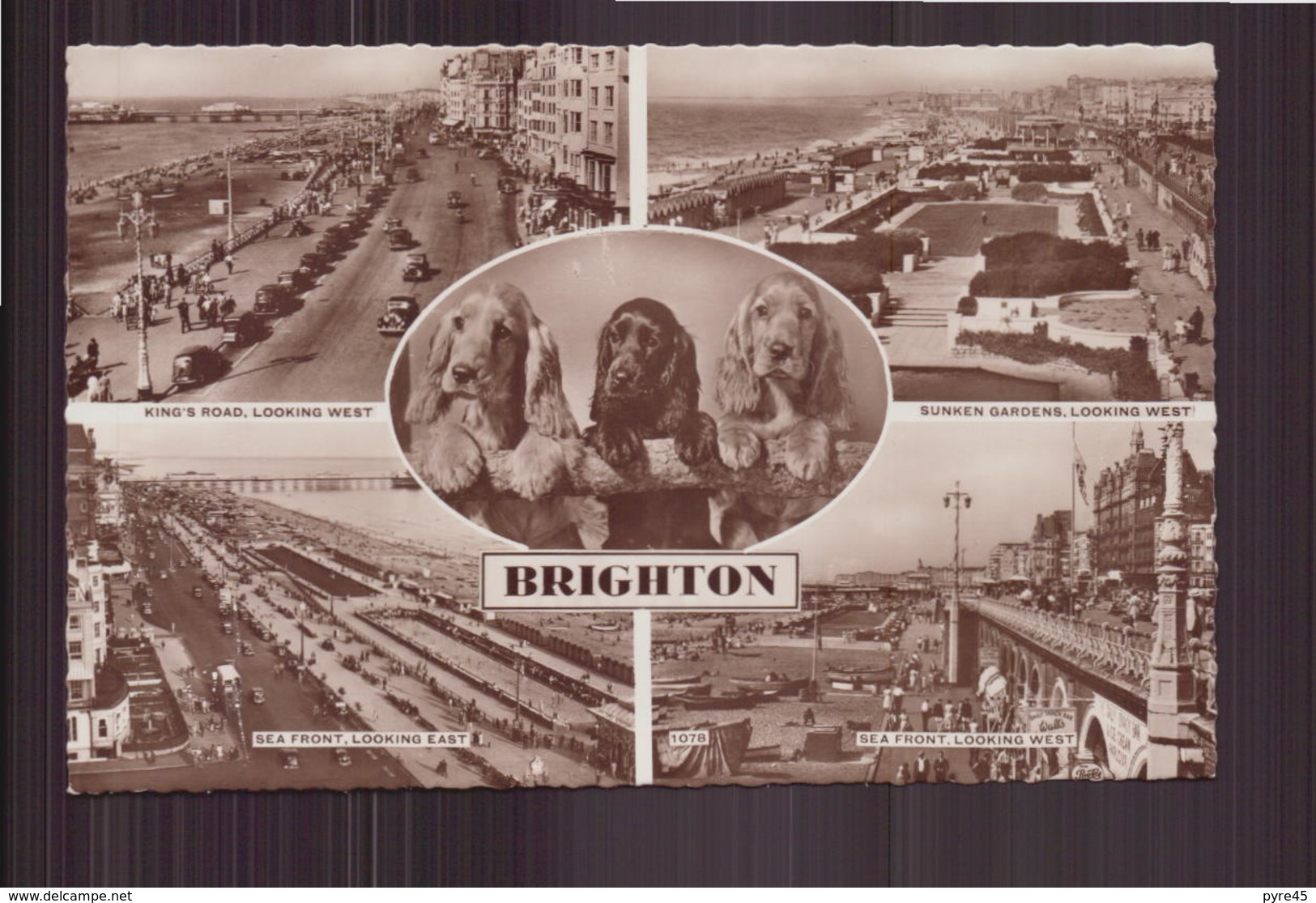 Brighton - Brighton
