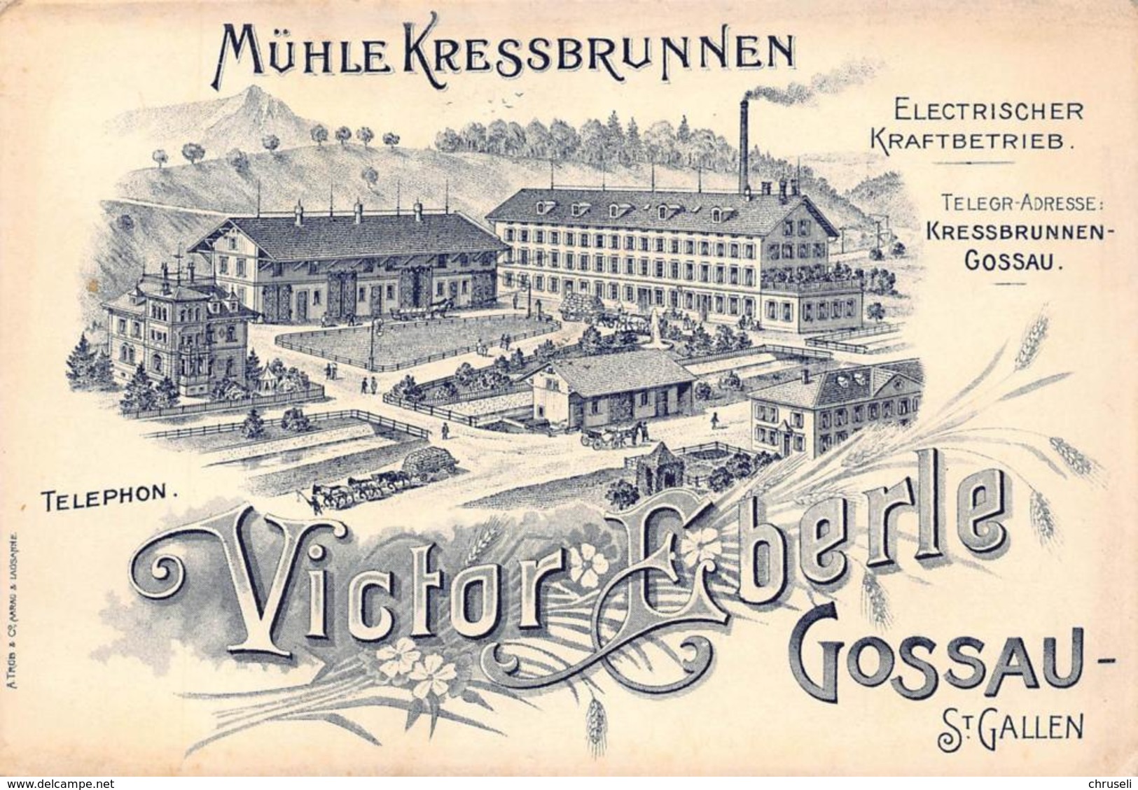 Kressbrunnen Gossau  Mühle Fuhrwerke Werbekarte Selten 1900 - Gossau