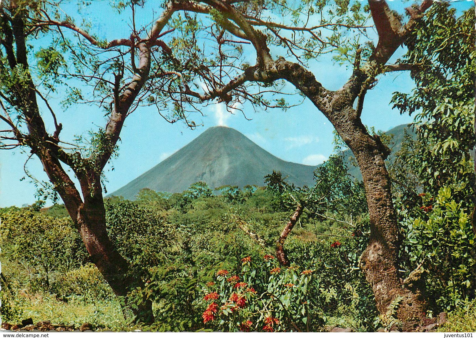 CPSM El Salvador-Sonsanate-Volcan De Izalco          L2955 - El Salvador