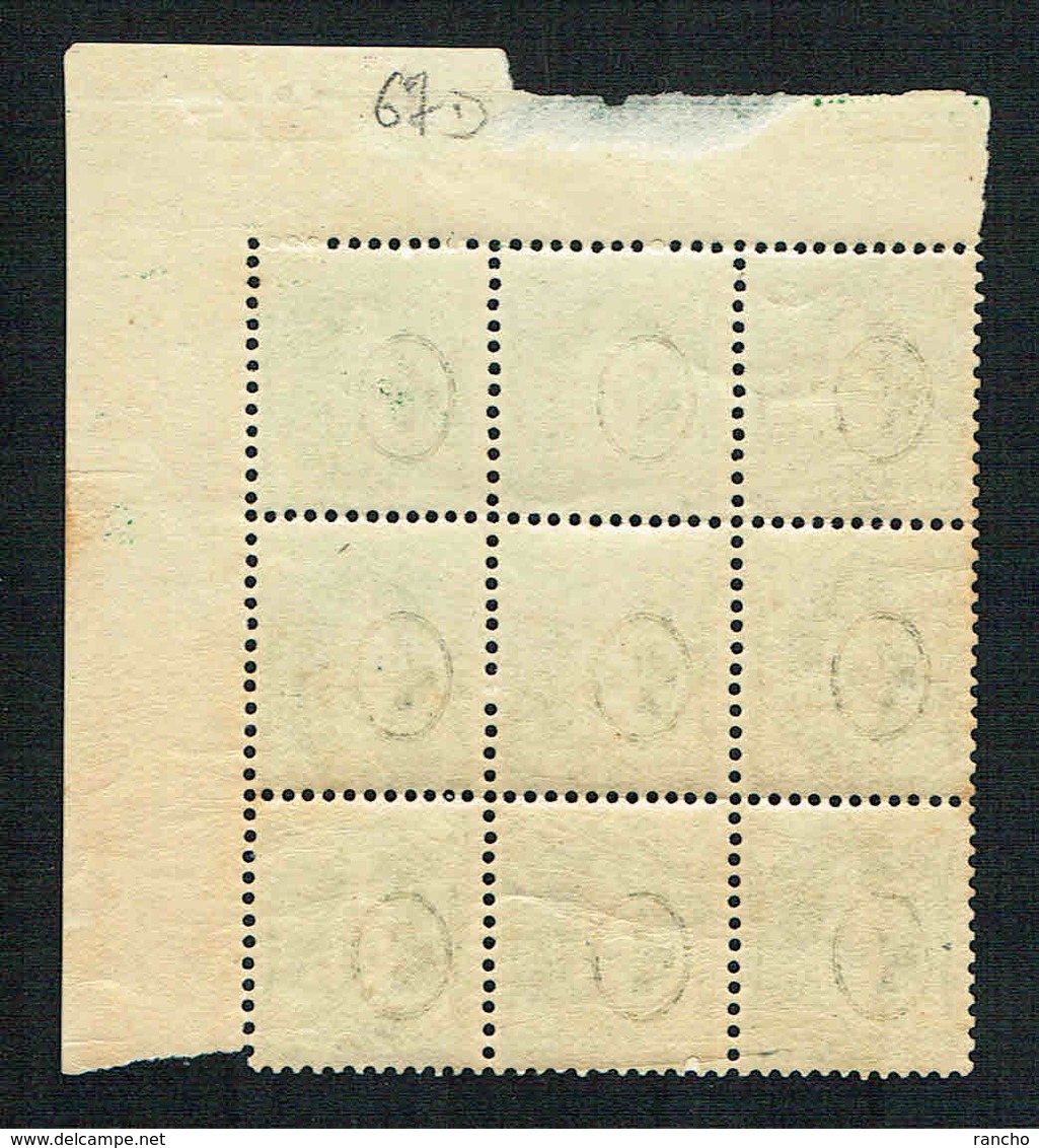 ** PAPIER BLANC BLOC DE 9xTIMBRES COLLECTIONS NEUFS A/GOMME 1894 C/.S.B.K. Nr:67D. Y&TELLIER Nr:?. MICHEL Nr:59YC. - Neufs