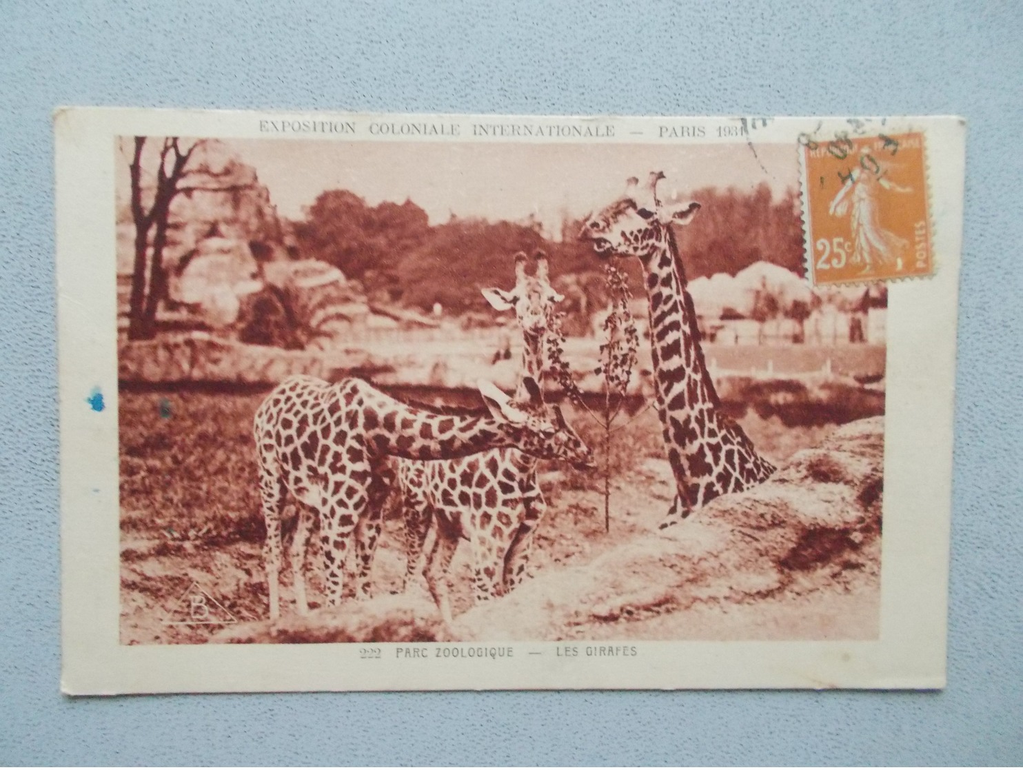 EXPOSITION COLONIALE INTERNATIONALE PARIS 1931  PARC ZOOLOGIQUE  LES GIRAFES  VOYAGEE - Expositions