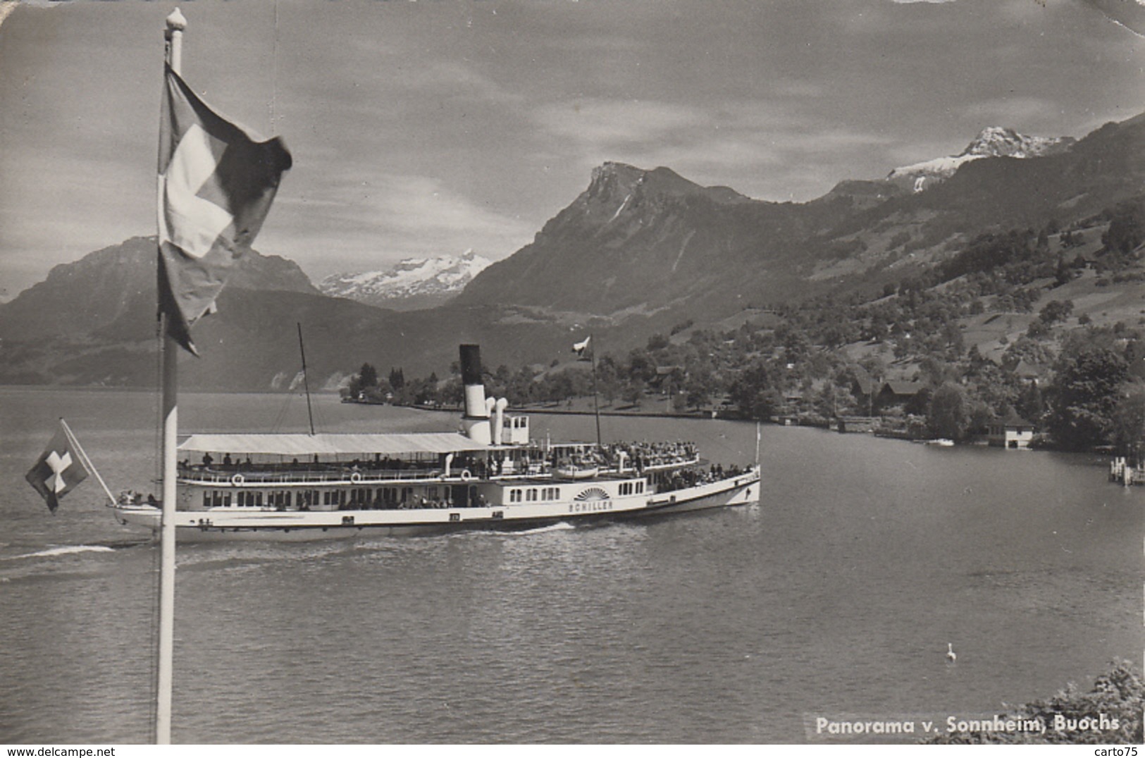 Suisse - Buochs Panorama - Vierwaldstättersee - Bâteaux Vapeur Aube "Schiller" - Postmarked 1965 - Buochs