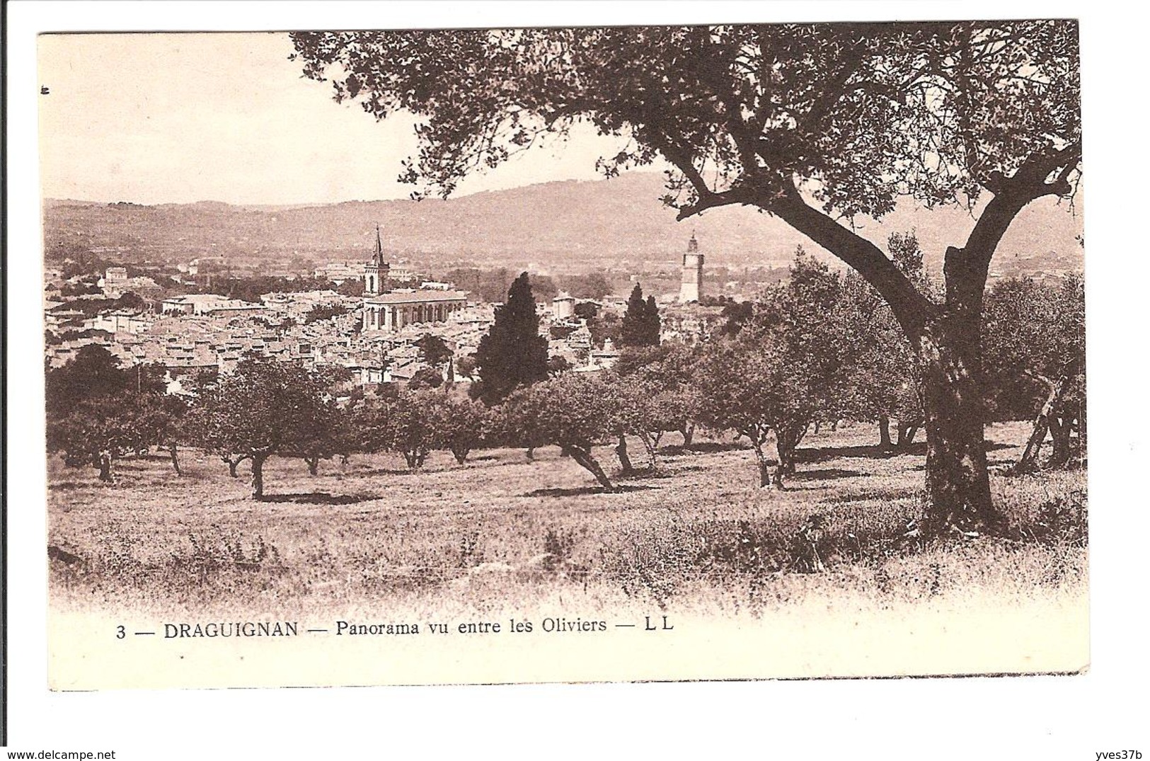 DRAGUIGNAN - PANORAMA VU ENTRE LES OLIVIERS - Draguignan