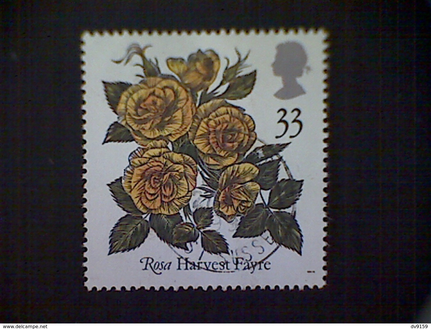 Great Britain, Scott #1385, Used (o), 1991, Roses: Harvest Fayre, 33p - Used Stamps