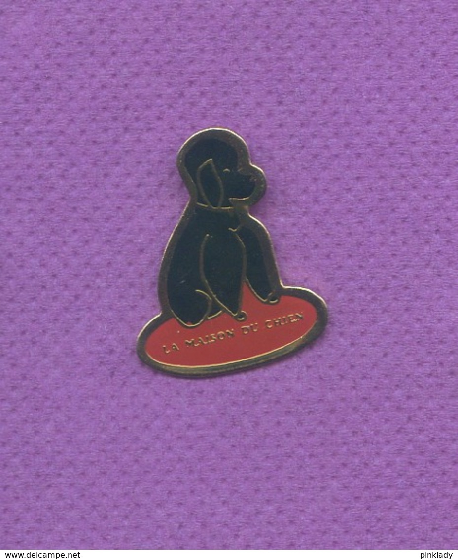 Rare Pins Caniche Noir La Maison Du Chien L165 - Animaux