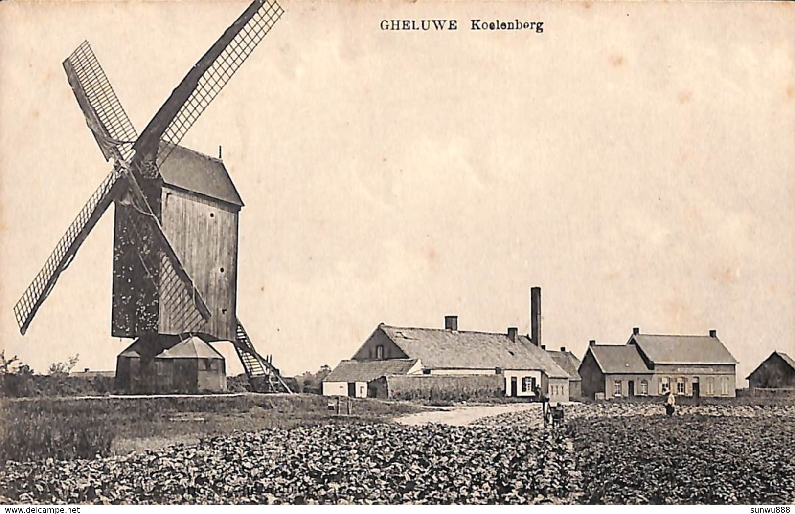 Gheluwe - Koelenberg (animatie, Moulin Molen) - Wervik