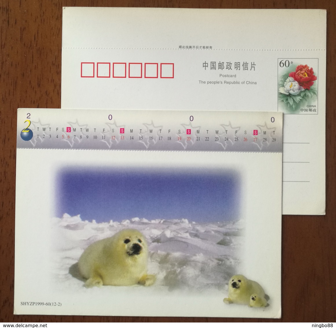 China 1999 New Year Greeting Postal Stationery Card Lovely Greenland Baby Seal - Other & Unclassified