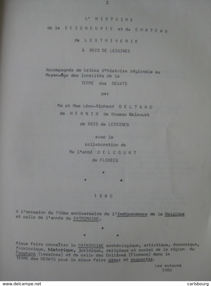 Hainaut – Bois-de-Lessines – Deltand-de Henin De Boussu Walcourt - EO 1980 – Peu Courant - België