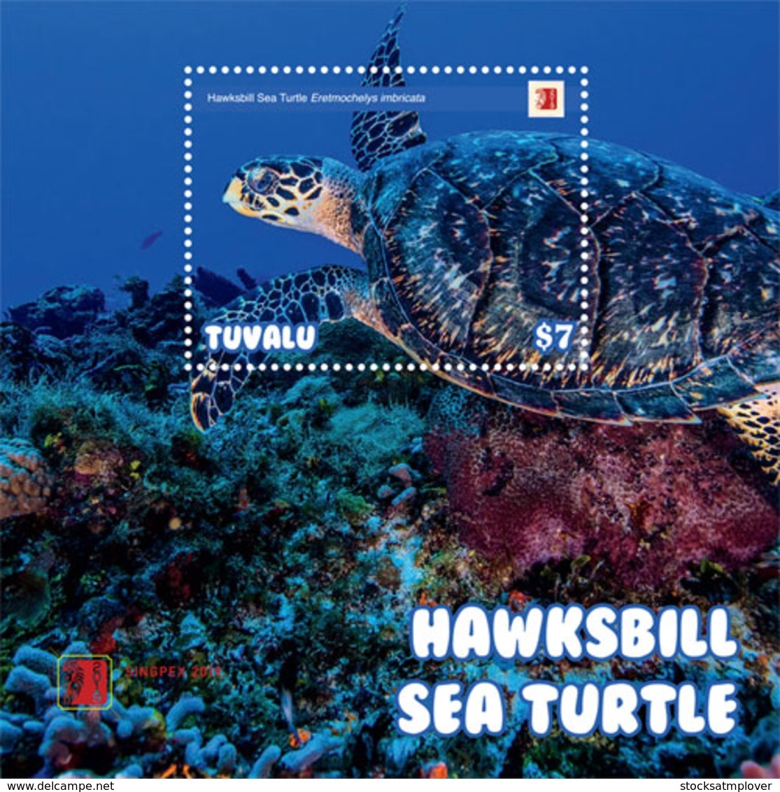 Tuvalu  2019 Fauna  Hawksbill Sea Turtle   I201903 - Tuvalu