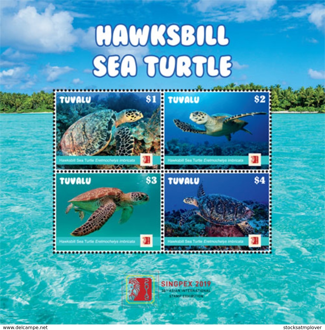 Tuvalu  2019 Fauna  Hawksbill Sea Turtle   I201903 - Tuvalu
