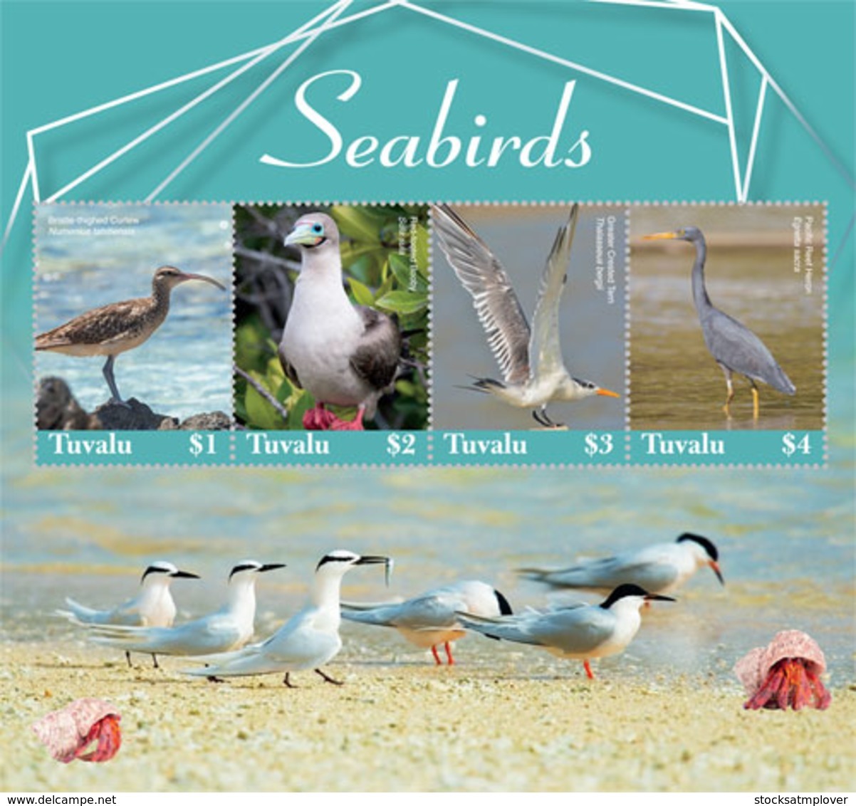 Tuvalu  2019 Fauna   Seabirds   I201903 - Tuvalu