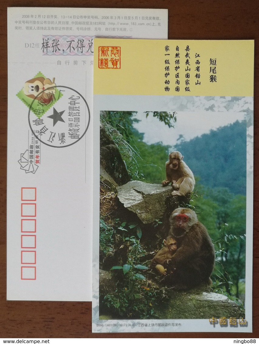 First-Grade State Protection Animal Stumptail Macaque,CN 06 Mt.Wuyishan National Nature Reserve PSC,specimen Overprint - Apen