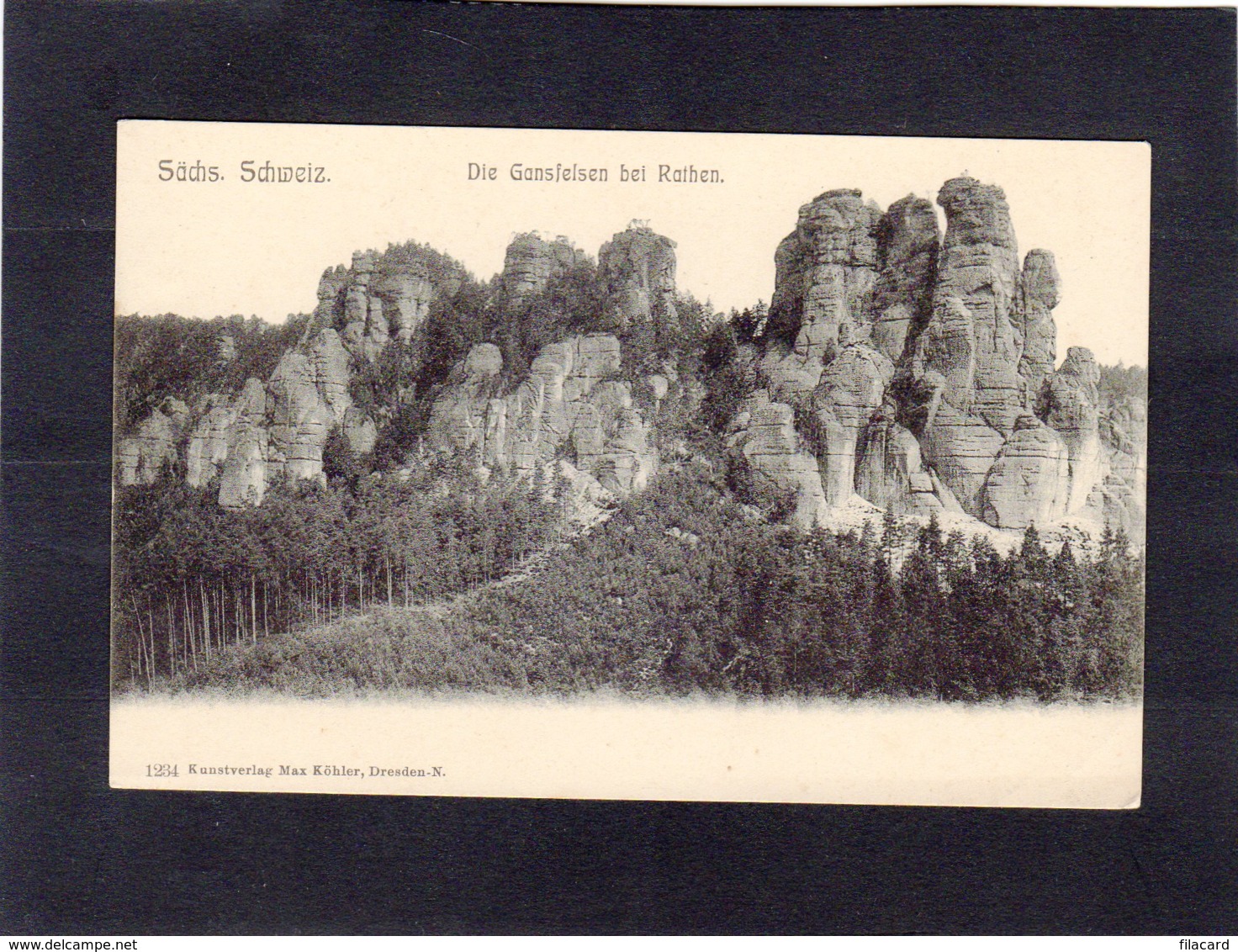 91595    Germania,   Sachs. Schweiz,  Die  Gansfelsen Bei Rathen,  NV - Rathen