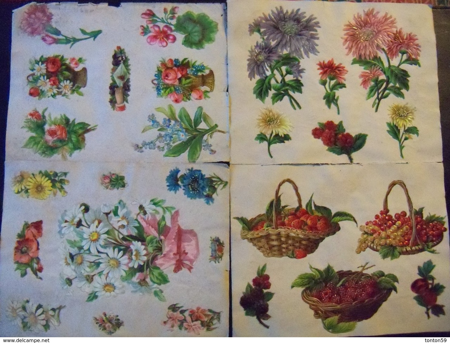 Lot De 101 Chromos Collés Sur Papier.Fleurs Fruits Et Oiseaux. - Fleurs