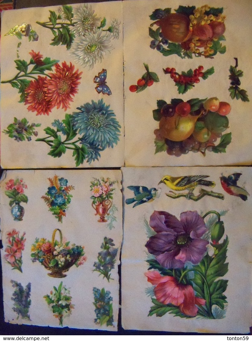 Lot De 101 Chromos Collés Sur Papier.Fleurs Fruits Et Oiseaux. - Flowers