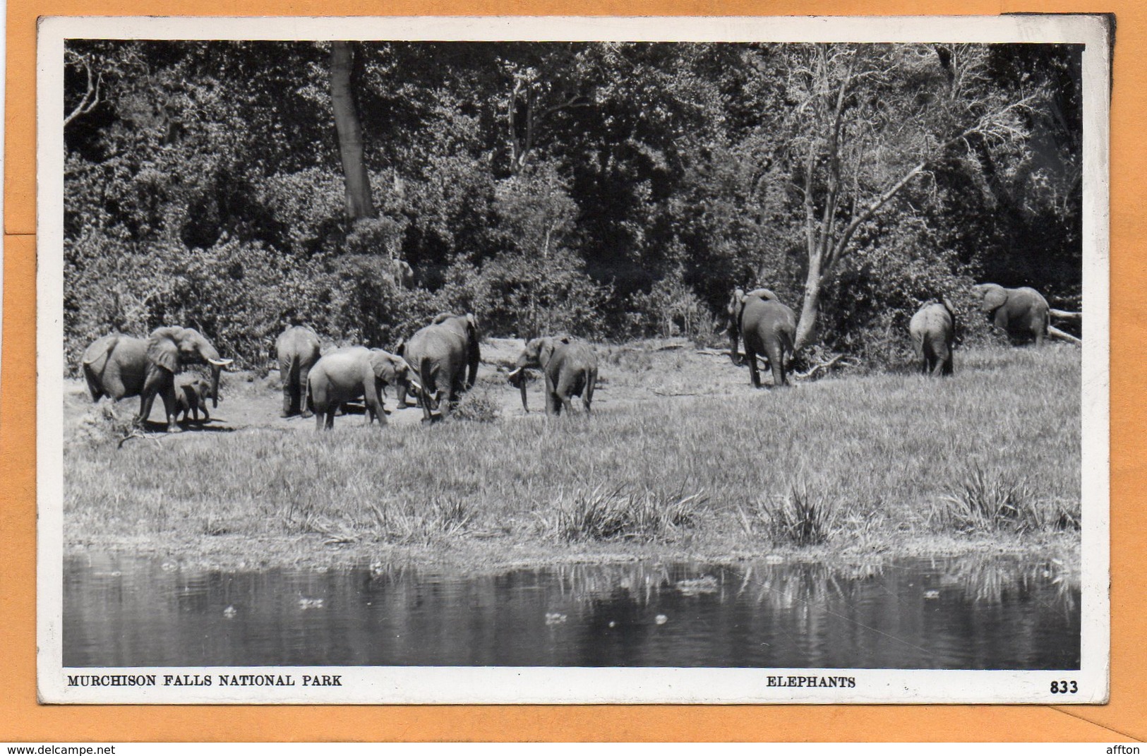 Murchison Falls National Park Uganda Old Postcard - Uganda