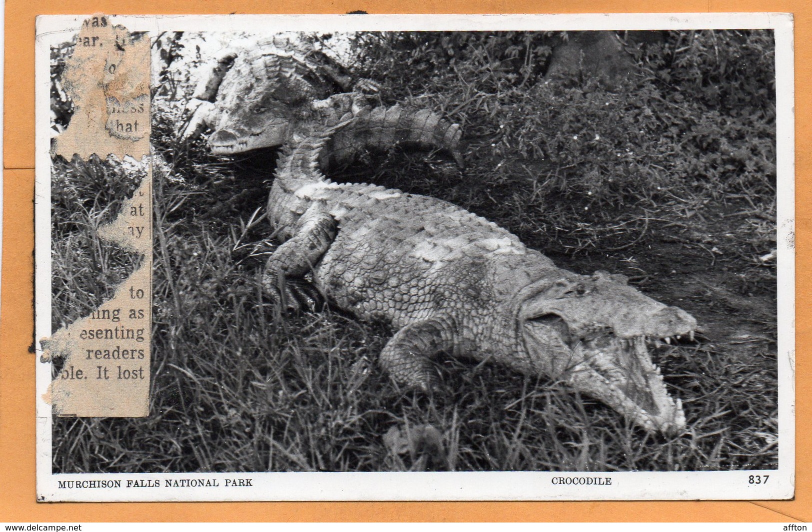 Murchison Falls National Park Uganda Old Postcard - Ouganda