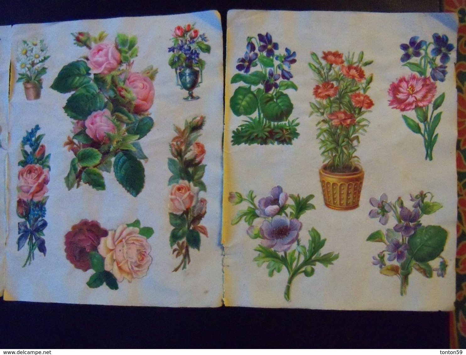 Lot de 95 Chromos collés sur papier.Fleurs fruits et Divers.