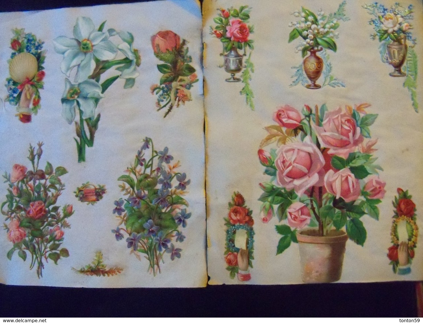 Lot de 95 Chromos collés sur papier.Fleurs fruits et Divers.