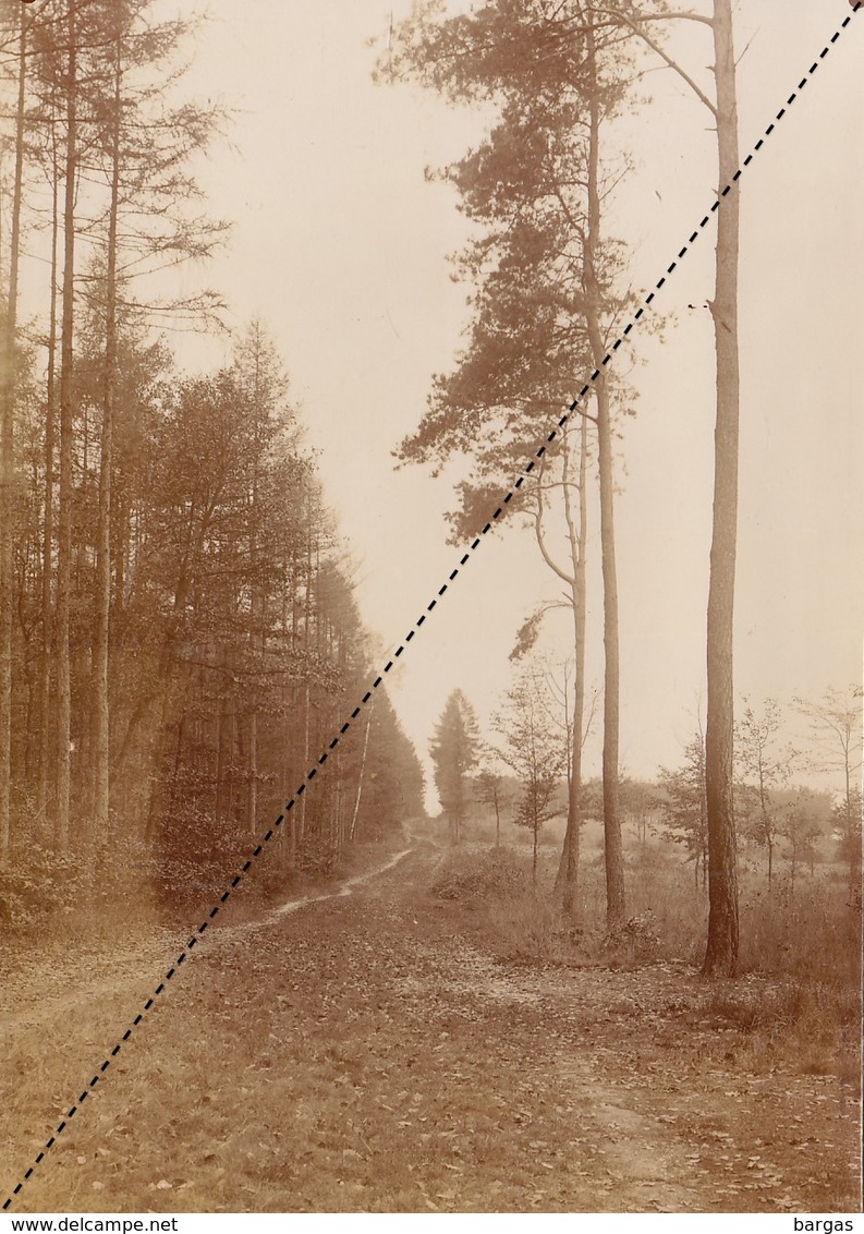 1894 Belle Photo Uccle Bois De Verrewinkel 16,5x12cm - Alte (vor 1900)