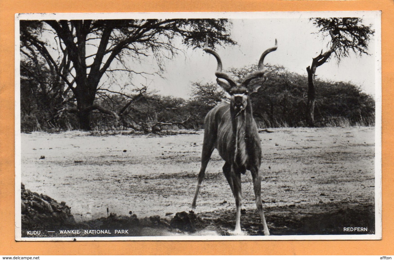 Hwange Wankie National Park Zimbabwe Old Postcard - Zimbabwe