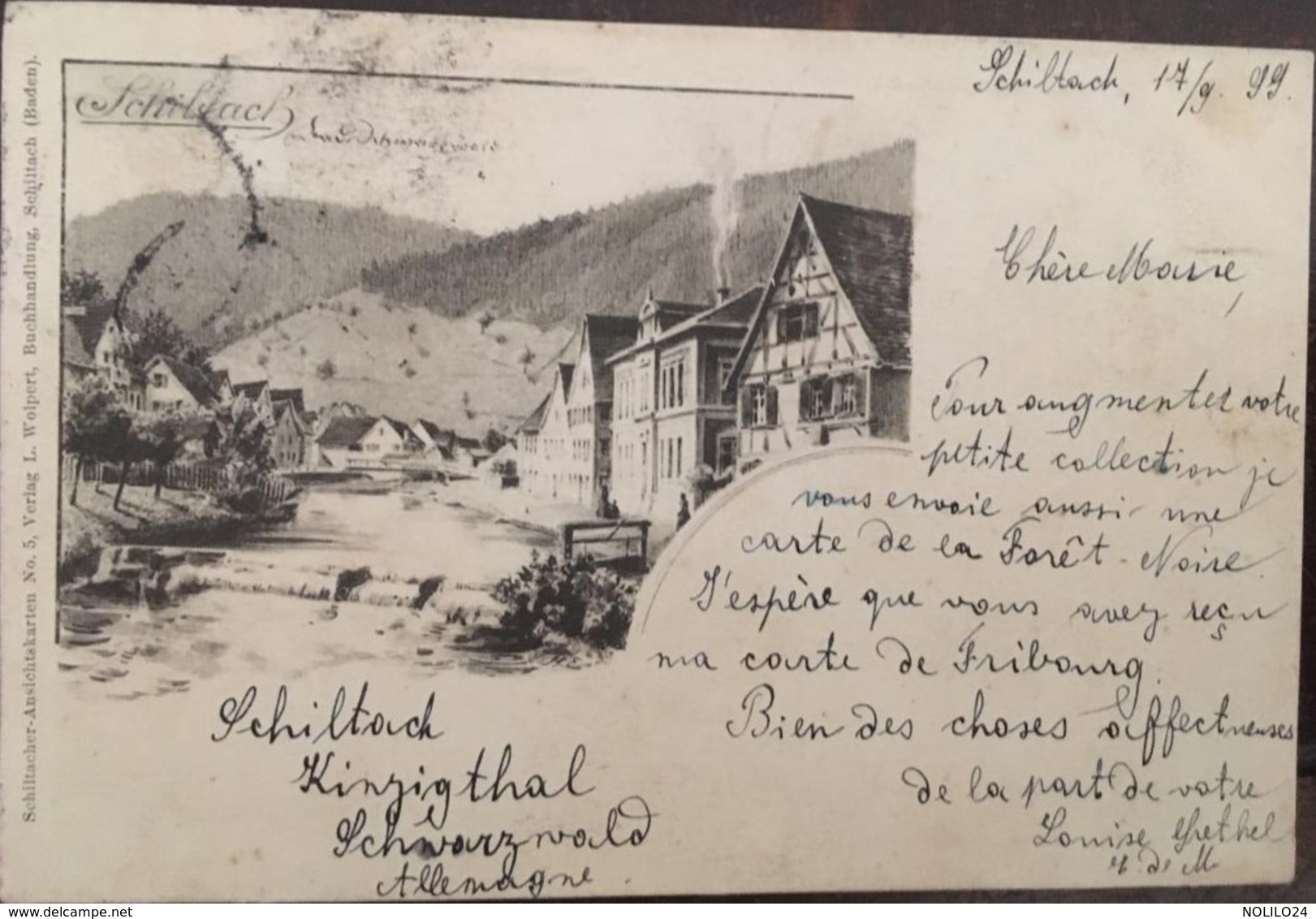 Cpa, 1899, Schiltach Panorama (Schiltach Schwarzwald), éd Wolpert,ALLEMAGNE - Schiltach