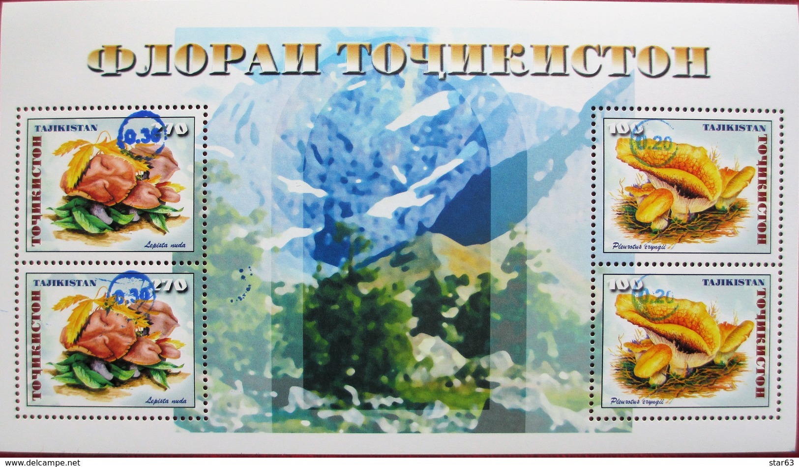 Tajikistan  2018  Mushrooms  Blue  OP  S/S  MNH - Paddestoelen