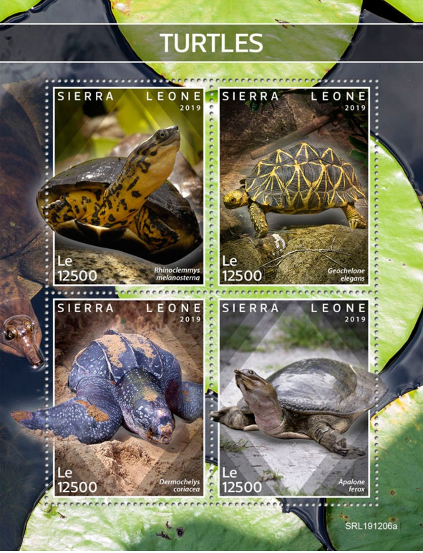 Sierra Leone 2020 Turtles Fauna Turtle S/S SRL191206 - Other & Unclassified