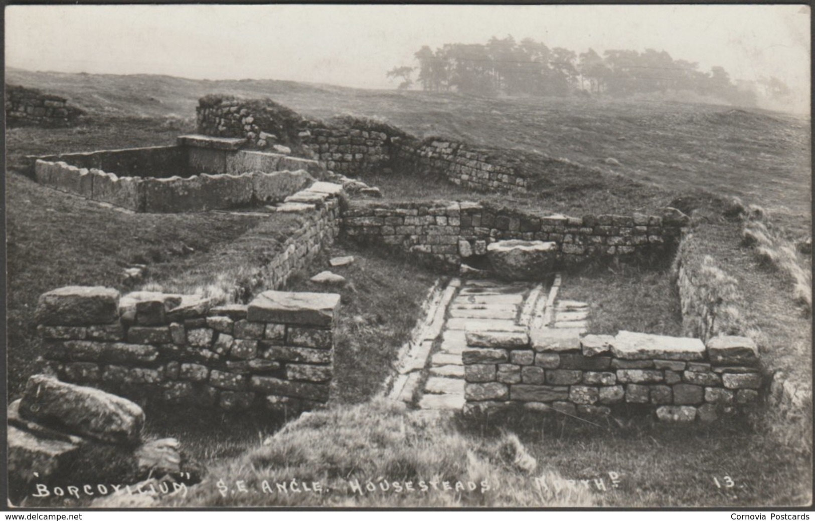 South East Angle, Borcovicium, Housesteads, Northumberland, C.1960 - RP Postcard - Other & Unclassified