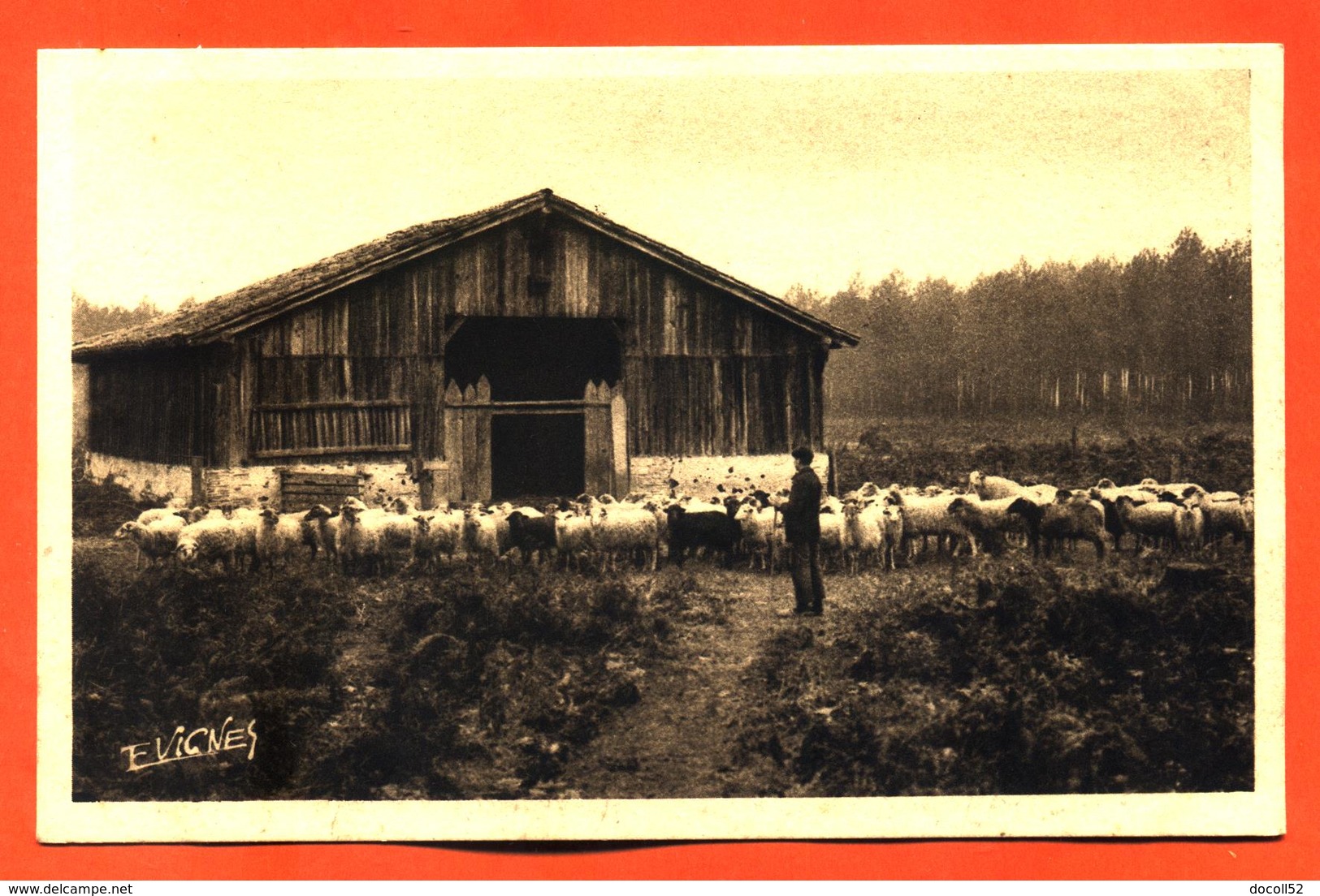 CPA 82 Labastide " En Gascogne - Le Départ Des Moutons " Envoyée De Labastide - Labastide Saint Pierre