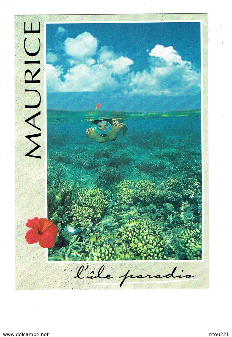 Cpm - ILE MAURICE - MAURITIUS - Femme Plongeuse Masque - Fonds Sous-marins - - Maurice