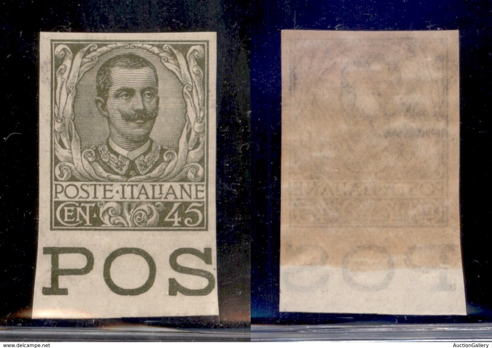 REGNO - POSTA ORDINARIA - 1901 - 45 Cent Floreale (75g) Non Dentellato - Bordo Foglio - Gomma Integra (390) - Altri & Non Classificati