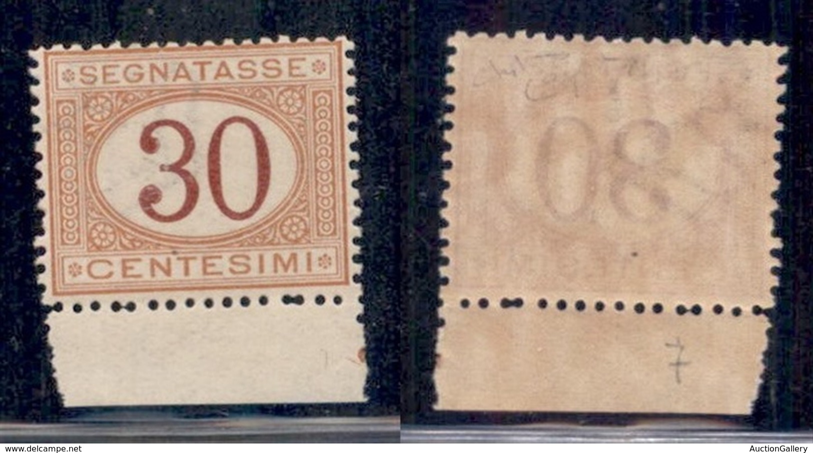 REGNO - SEGNATASSE - 1870 - 30 Cent (7) - Gomma Integra - Bordo Foglio - Raybaudi (5000+) - Altri & Non Classificati