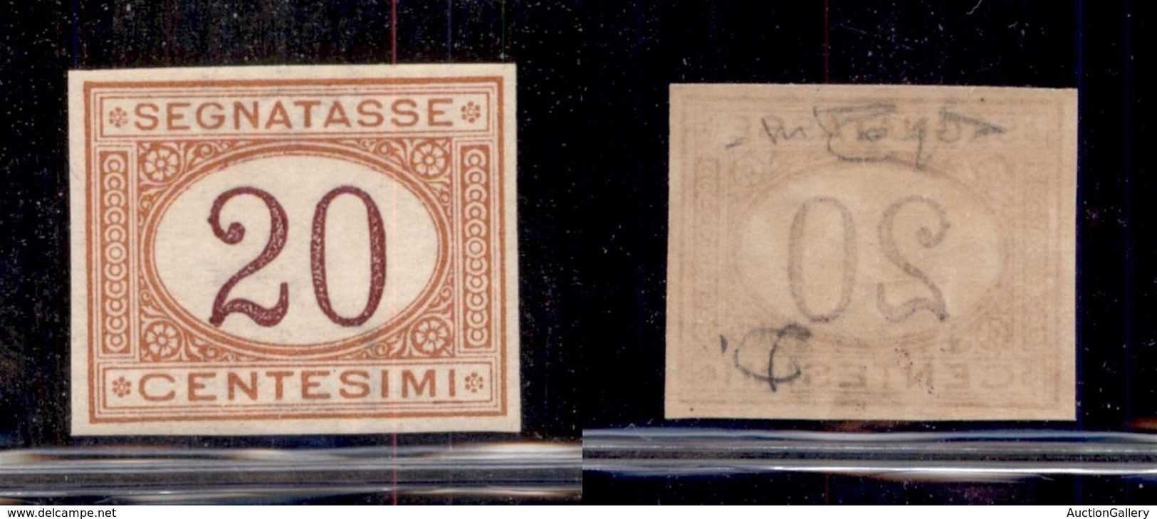 REGNO - SEGNATASSE - 1894 - 20 Cent (22g) Non Dentellato - Gomma Integra - Cert. Raybaudi (375) - Altri & Non Classificati