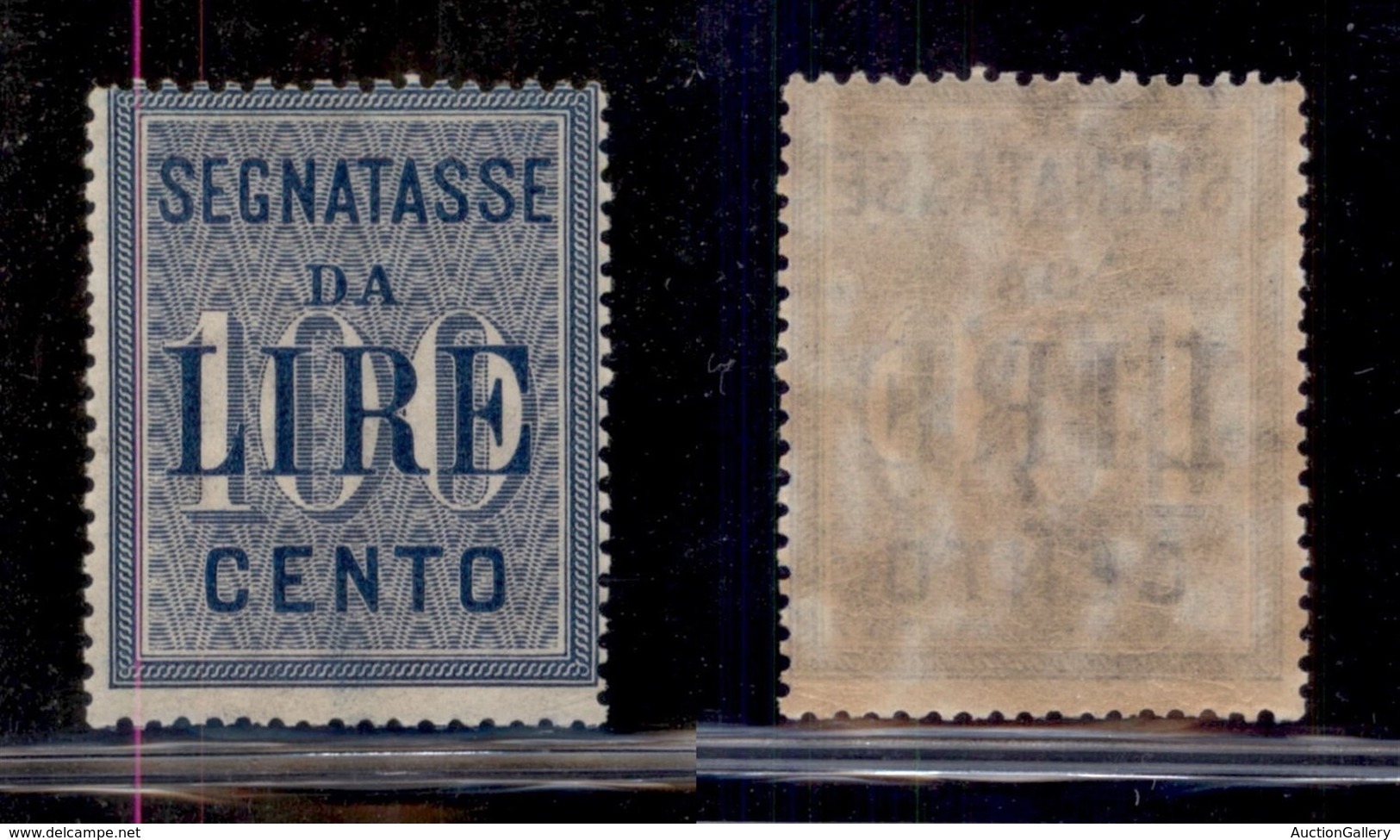 REGNO - SEGNATASSE - 1903 - 100 Lire (32) - Gomma Integra (250) - Altri & Non Classificati
