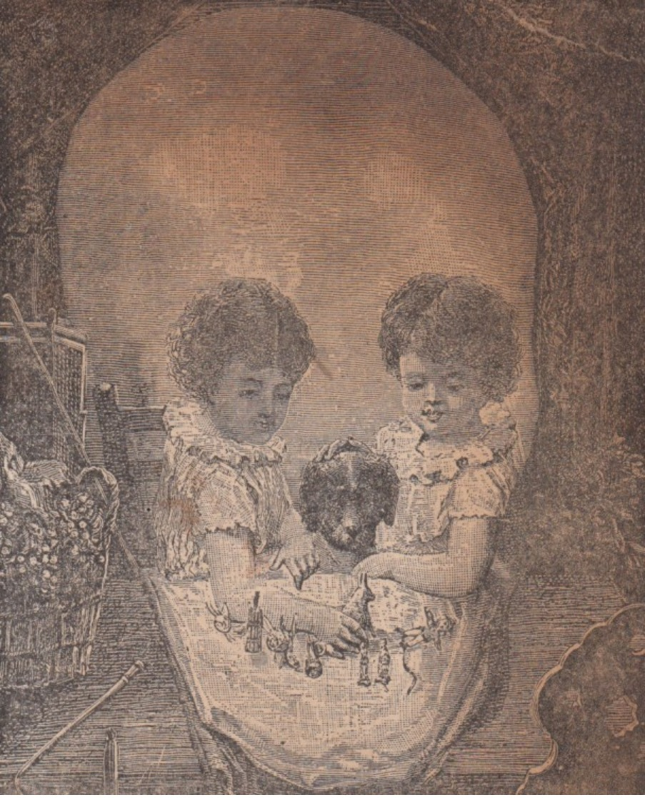 TC ; Metamorphic Skull From 2 Kids & A Dog, FREDONIA , New York , 1890s - Autres & Non Classés