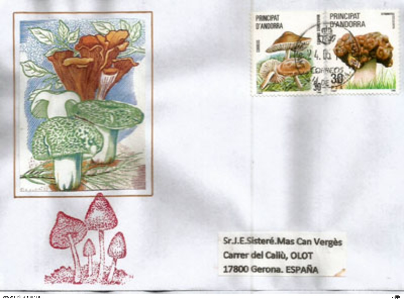 Champignons Coriolette & Fausse Morille Sur Lettre Andorra Adressée Espagne - Covers & Documents