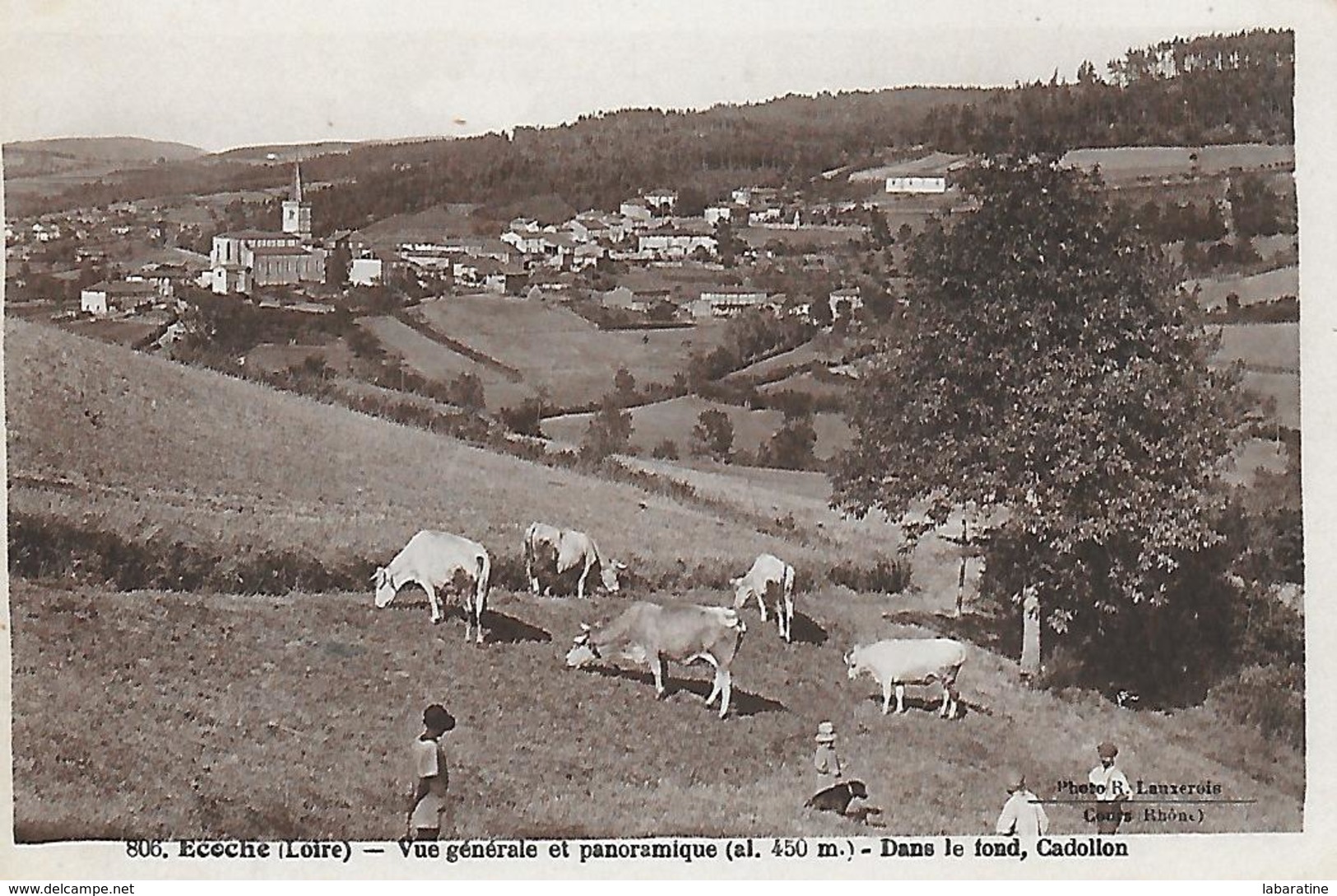 42)  ECOCHE  - Vue Générale Et Panoramique - Dans Le Fond Cadollon - Altri & Non Classificati