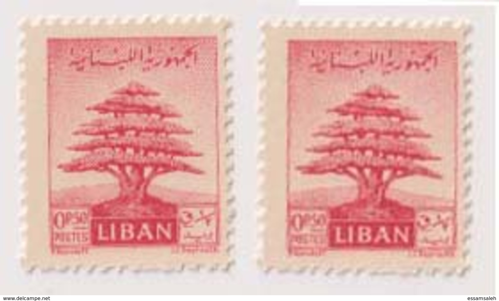 LBS06501 Lebanon 1951 1/2p Cedar Tree PRINTED ON BOTH SIDES / MNH - Liban