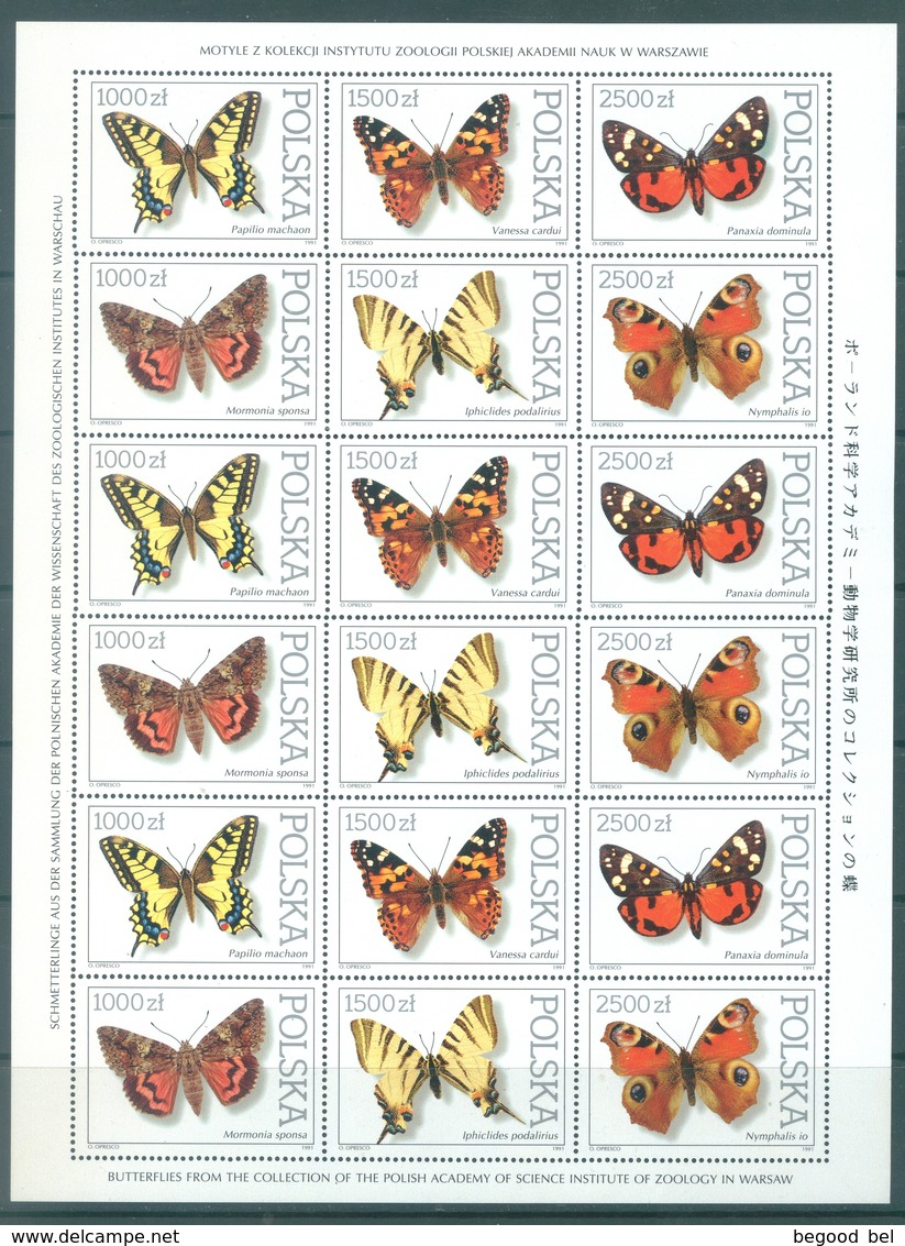 POLAND - 1991 - MNH/** - PAPILLONS BUTTERFLIES 3 SET OF 6 STAMPS  Yv 3144-3149 Mi 3343-3348 - Lot 21251 - MINISHEET - Neufs