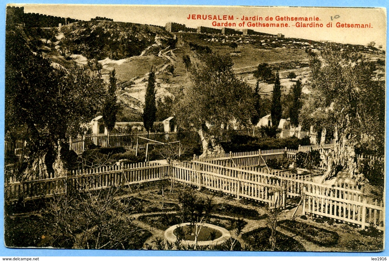 CPA Moyen-Orient Palestine Israël Jérusalem Jardin De Gethsémani - Palestine