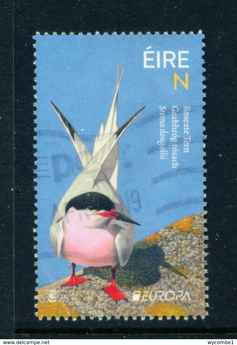 IRELAND  -  2019 Europa Birds 'N' Used As Scan - Used Stamps