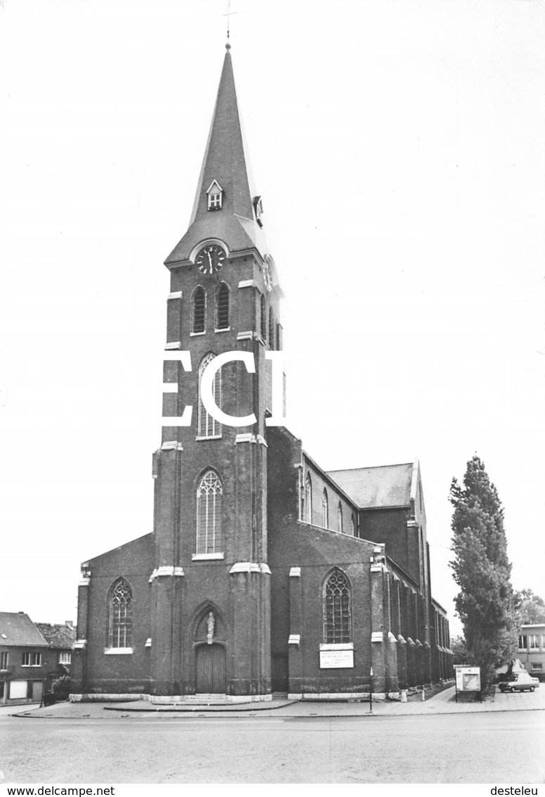 St. Eligiuskerk - Kruishoutem - Kruishoutem