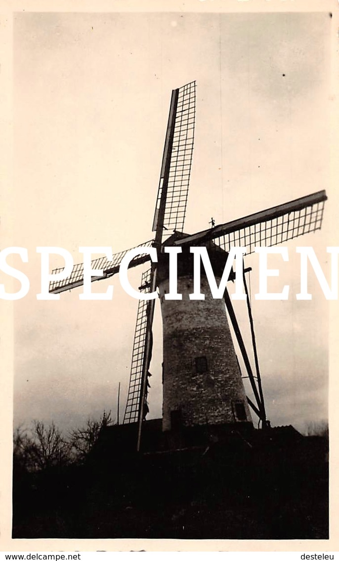 Foto Molen - Knesselare - 6,5 X 10,5 Cm - Aalter