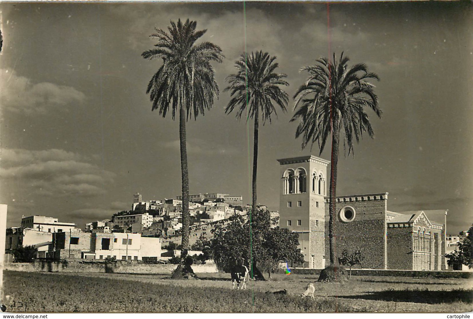 Espagne - IBIZA - Iglesia De Sta Cruz En 1958 - Ibiza