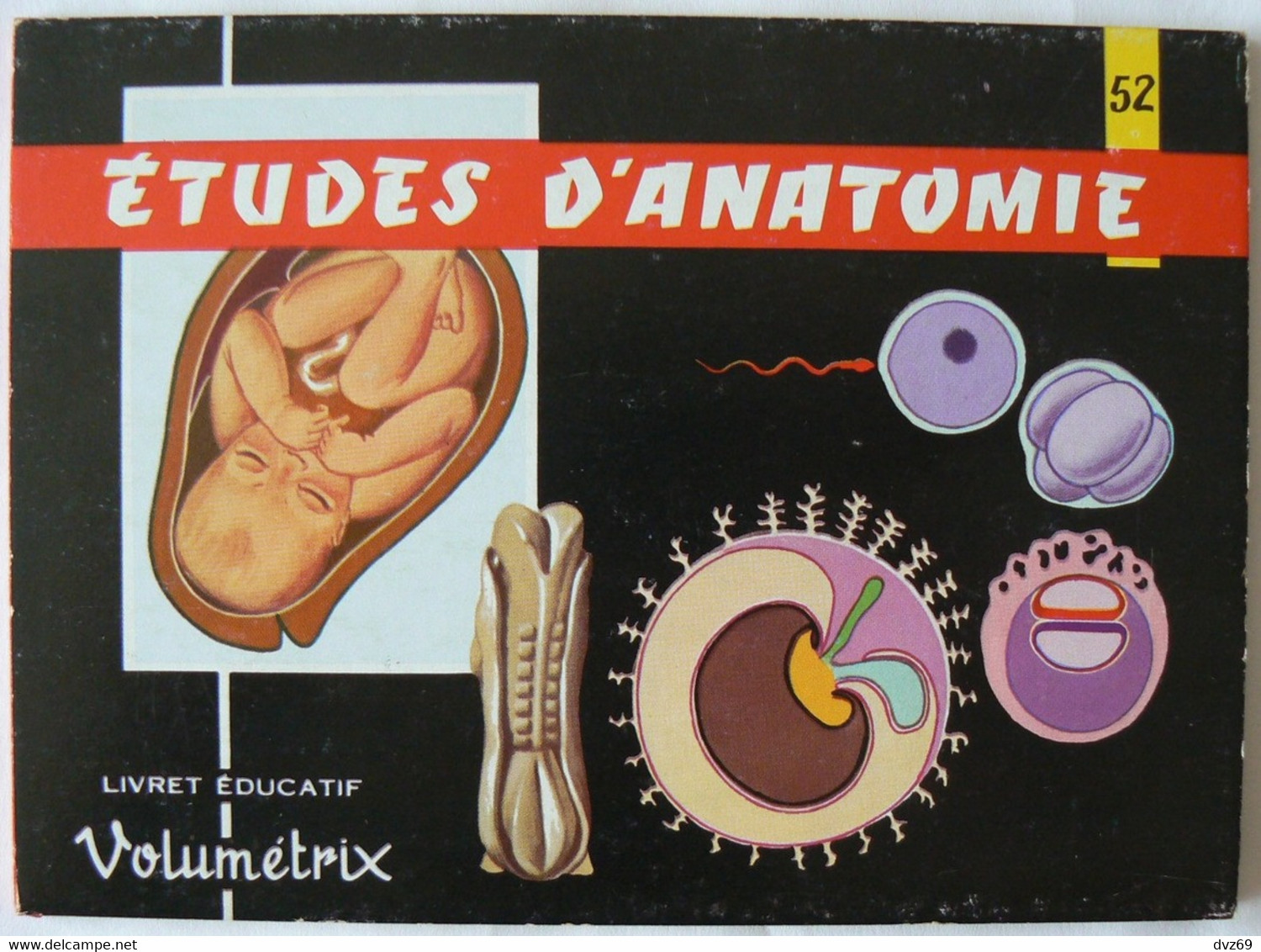 Livret éducatif Volumétrix : N° 52, Etudes D'Anatomie III, Parfait état. - Schede Didattiche