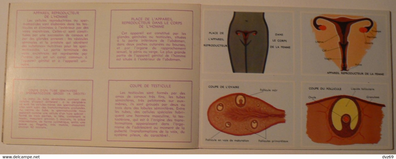 Livret éducatif Volumétrix : N° 52, Etudes D'Anatomie III, Parfait état. - Schede Didattiche