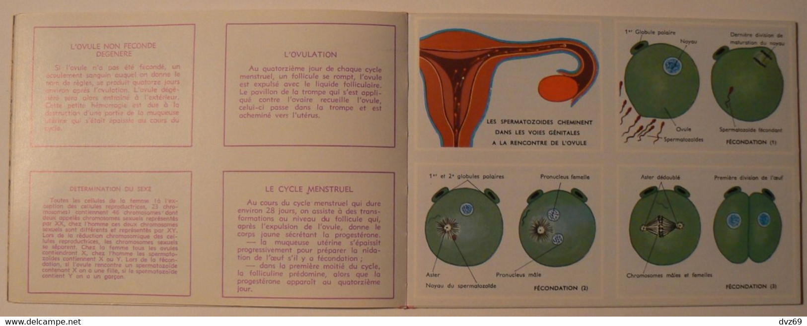 Livret éducatif Volumétrix : n° 52, Etudes d'Anatomie III, parfait état.