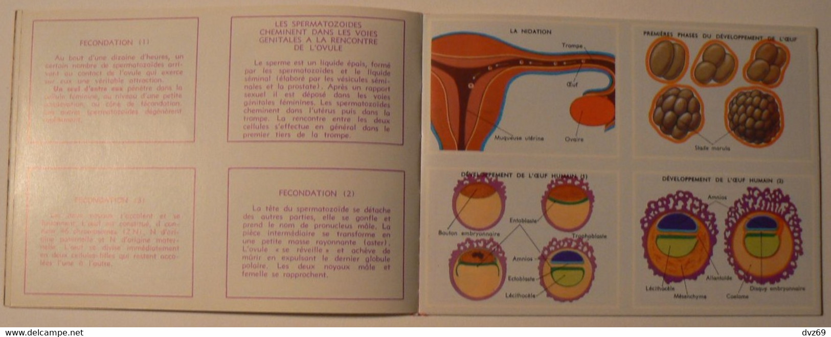 Livret éducatif Volumétrix : n° 52, Etudes d'Anatomie III, parfait état.